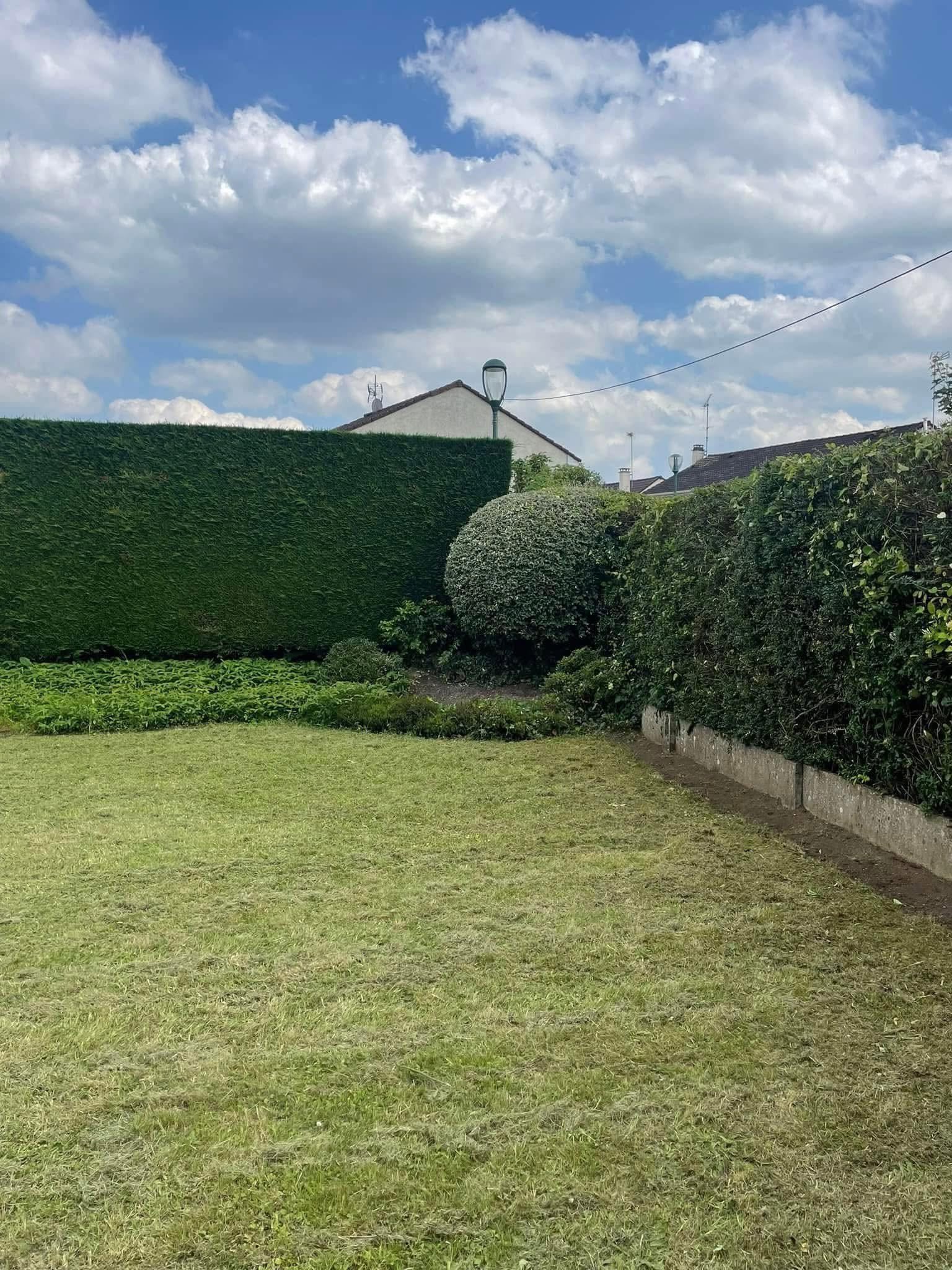 Jardin entretenu à Mérignac par Élagueur TK